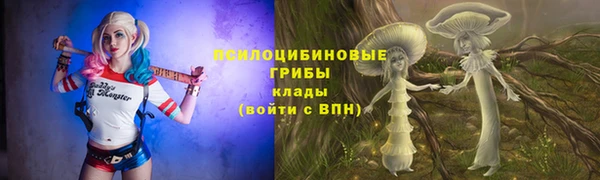 амфетамин Козловка