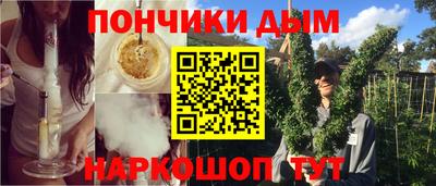 гидра Вышний Волочёк