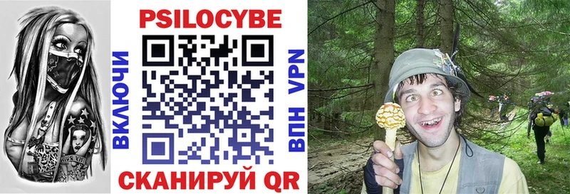 где можно купить   Кушва  Псилоцибиновые грибы мицелий 