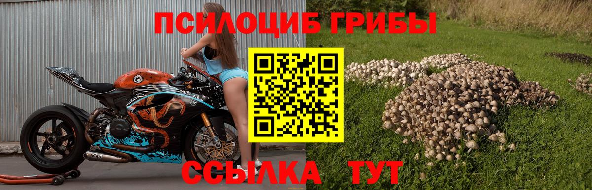Кушва  Псилоцибиновые грибы ЛСД  Вход с VPN 