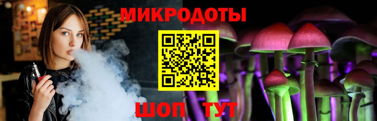 Псилоцибиновые грибы Psilocybe Кушва