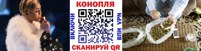 Каннабис OG Kush  Кушва 